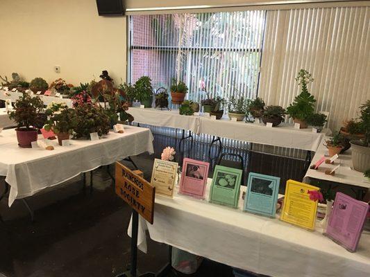 Riverside Community Flower Show 2017