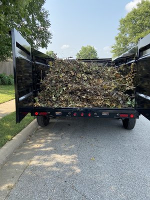 We get rid of yard waste tree lims etc... give us a call/text