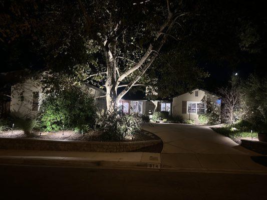 Outdoor landscaping lights.