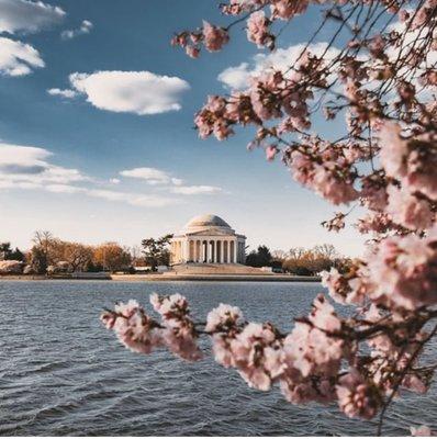 Jefferson memorial early spring