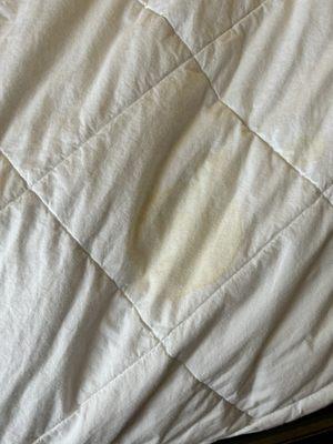 Pee stained comforter