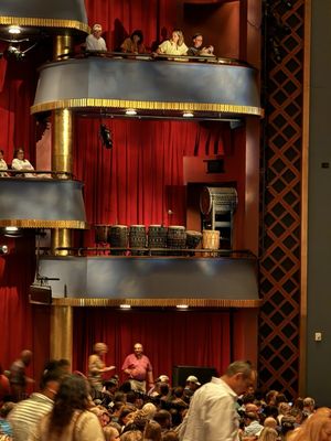 Musician set up in the theater box for The Lion King