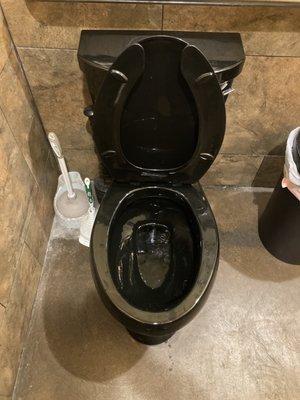 Black toilets are easier to clean I suppose