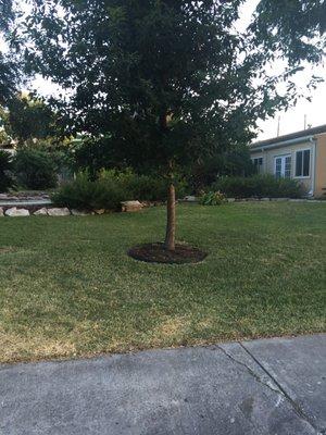 San Antonio Meditation Group and gardens.