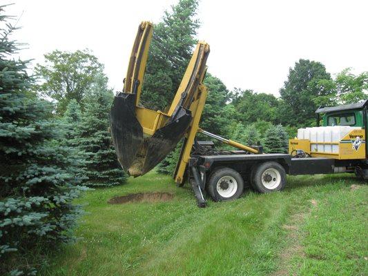 Acorn Tree & Landscaping