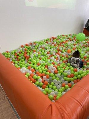 Giant ball pit! The favorite part of the place. Projectors and interactive images keep it fun and lively too.