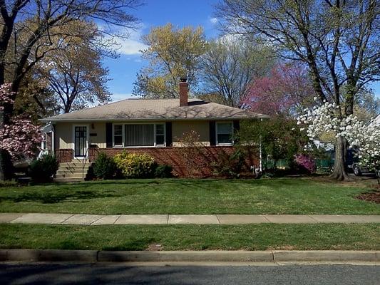 Clean up and mulching In McLean, Va