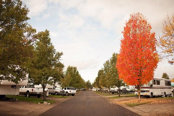 Willamette Wine Country RV Park