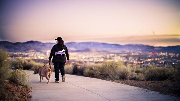 Reno K-9 Academy