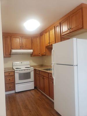 Large kitchens and plenty of cabinet space