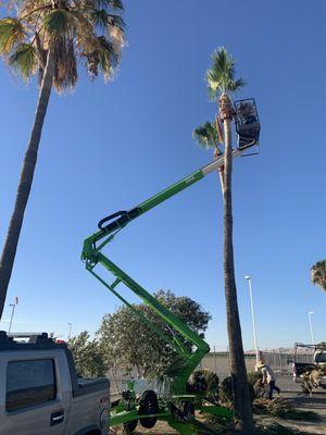 Quick Fix Tree Service