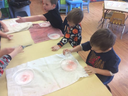 Our preschoolers learn through their senses and discovery every week during science and math activities.