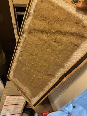 Dust containing mold spores on HVAC filter