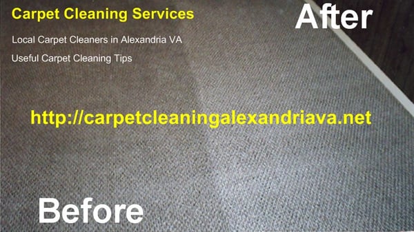 Carpet Cleaning