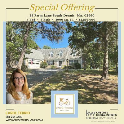 Carol Terrio - Keller Williams Realty