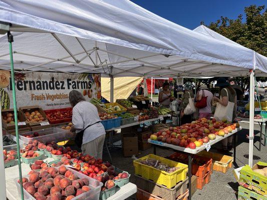 Renton Farmers Market