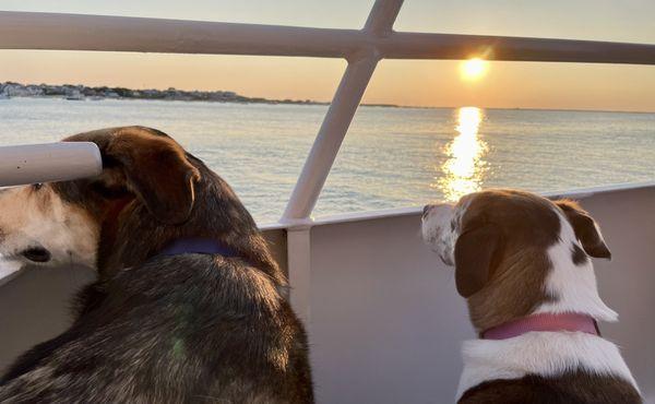 Arthur & Bella had a great time on the freedom ferry