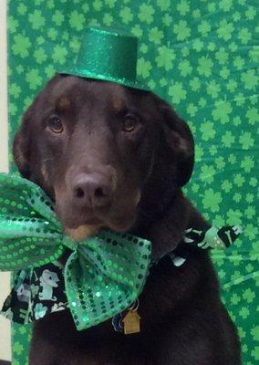 Cody looking handsome for St. Patrick's Day!