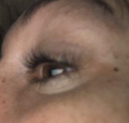 It's hard to see but wild lashes going different directions and spacing.