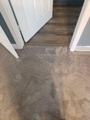 carpet seamlessly meeting bathroom