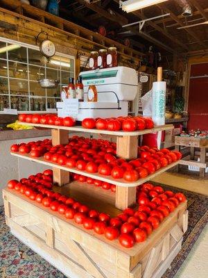 Georgia tomatoes