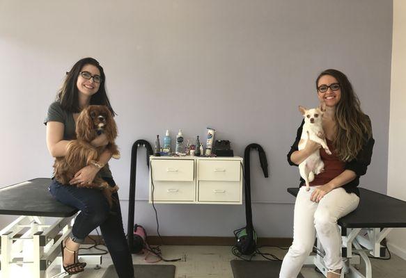 Petit Pooch Salon