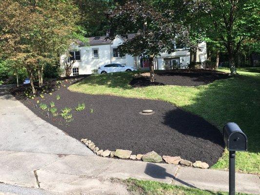 Before and after landscaping!