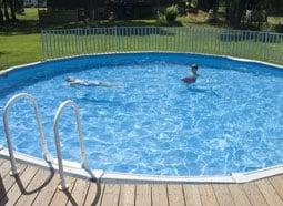 Pool with a Caribbean Clear Mineral ionizer with chlorine reduced by 75 %