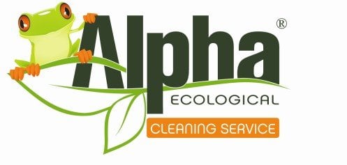 The ecological approach to cleaning