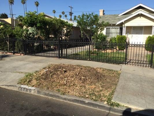 Dynamite Stump Grinding