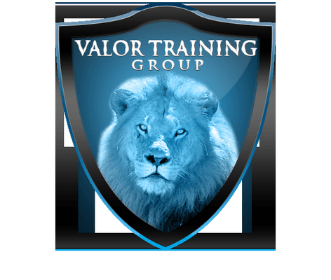 Valor Training Group, LLC (logo)