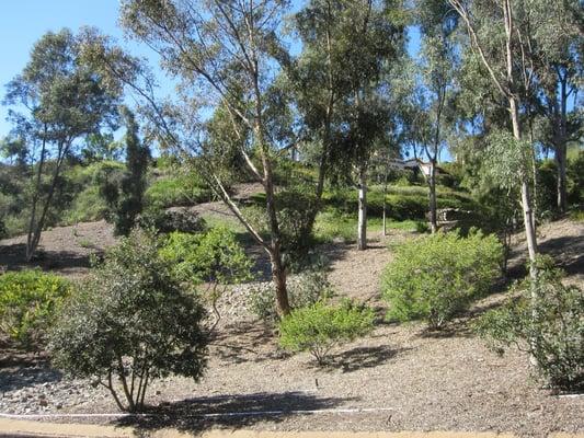 Slope Care and Erosion Control