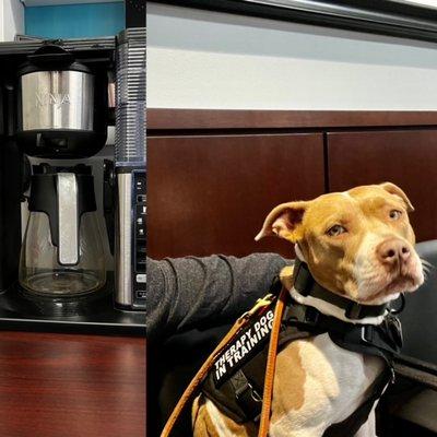 K9's and Coffee. What more could you want?