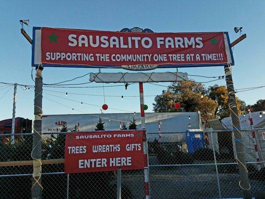 Sausalito Farms Christmas Tree Lot