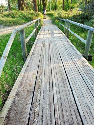 Foot bridge on hiking trail