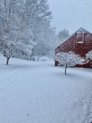 Gentle snow covers the rolling fields