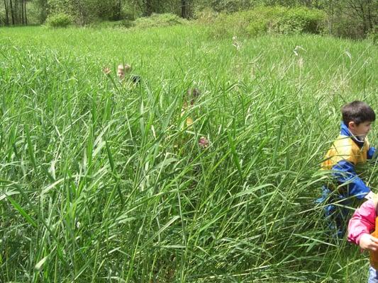 Kids exploring the tall grass.