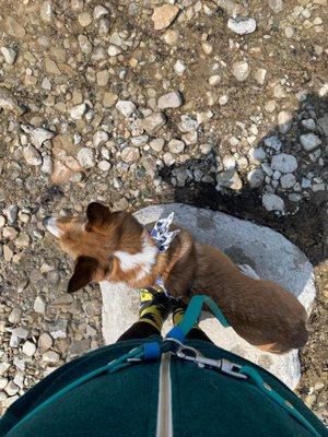 My dog @ Grand Traverse Lighthouse Museum!