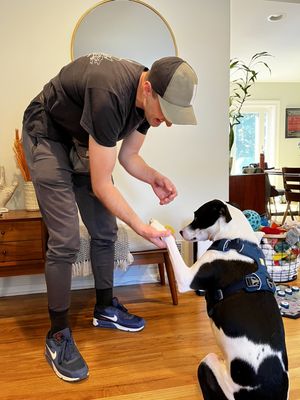 Gilbert shared his paw with me! What a sweet boy.