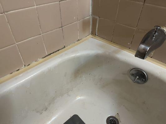 Black mold and grime in cabin bath - this is how it looked on arrival.