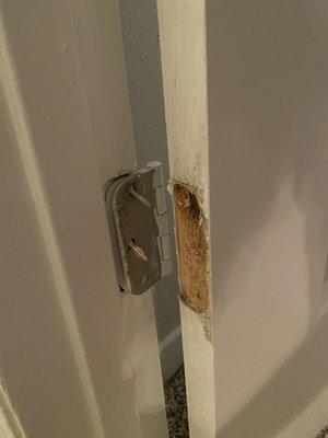 My door was not even attached at the bottom.