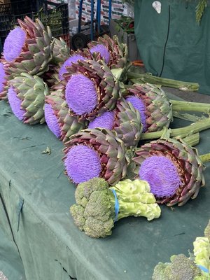 Outer Sunset Farmers Market San Francisco - Artichoke Blooms