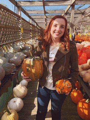 Unique variety of Pumpkins