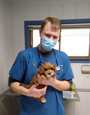 Caesar Creek Animal Clinic