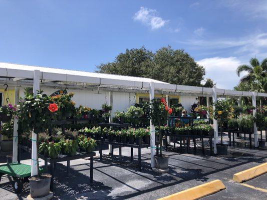 Gulf Breeze Garden Center