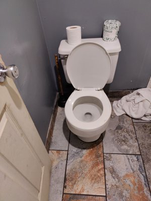 Toilet