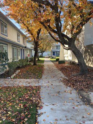 It looks super pretty in the fall and the apartments are actually pretty decent. Lived there for about 19 years.