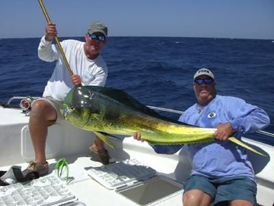 The Florida Sport Fishing Association (FSFA) is a non-profit organization that has given over $40,000 to marine education in ...