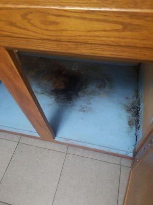 Mold under sink