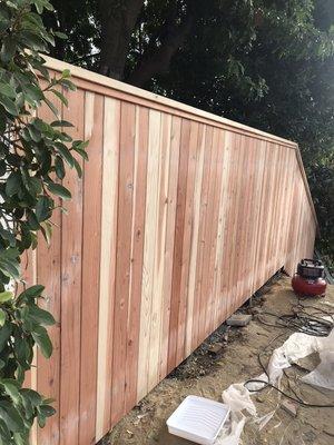 Red wood fencing